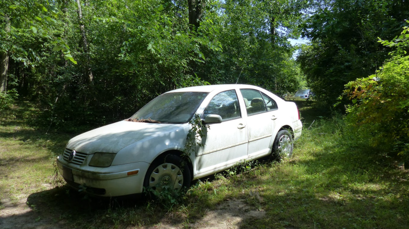 Illustration for article titled A Michigan Town Is Forcing This Man To Sell 20 Old Cars Off His Property Every Month